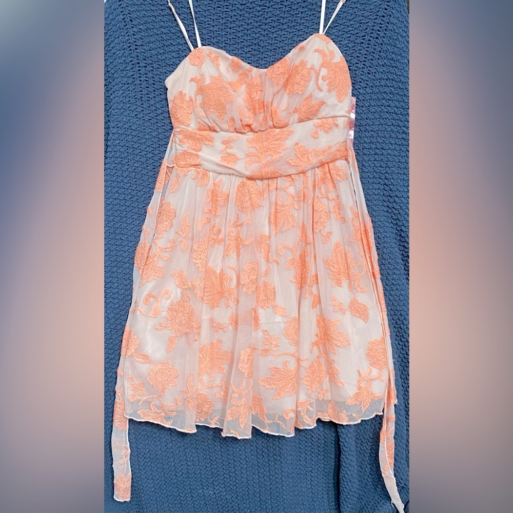 Emerald Sundae Blush Lace Detail Dress